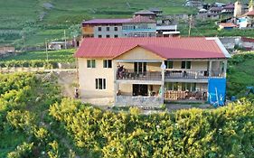 Guest House Caucasioni