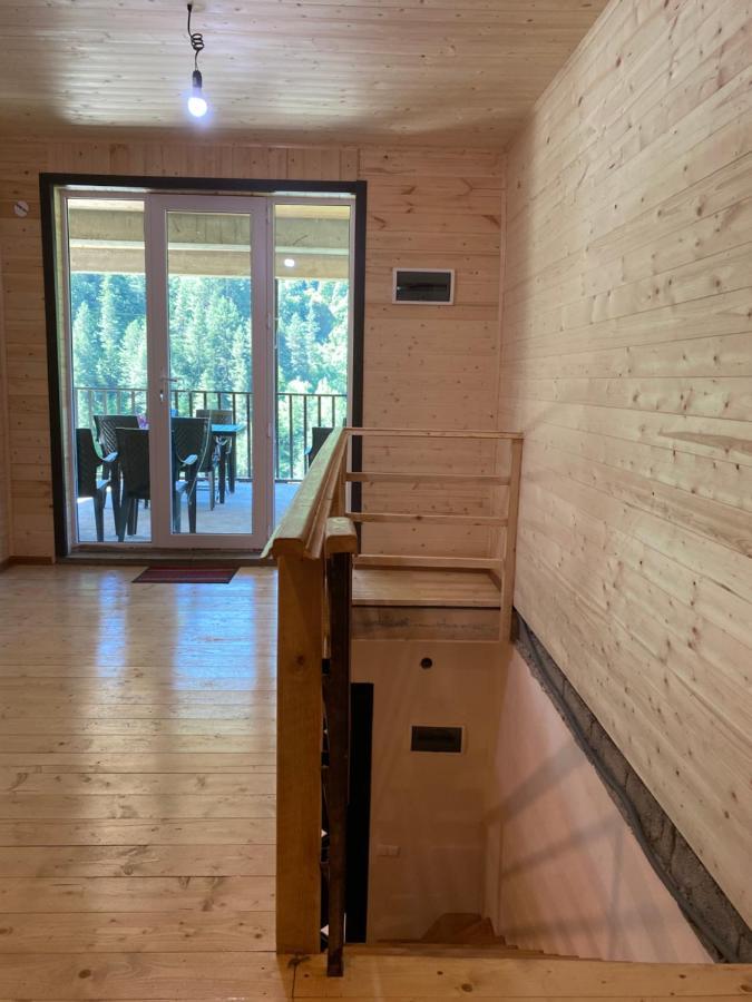Guest House Caucasioni Adishi Exterior foto